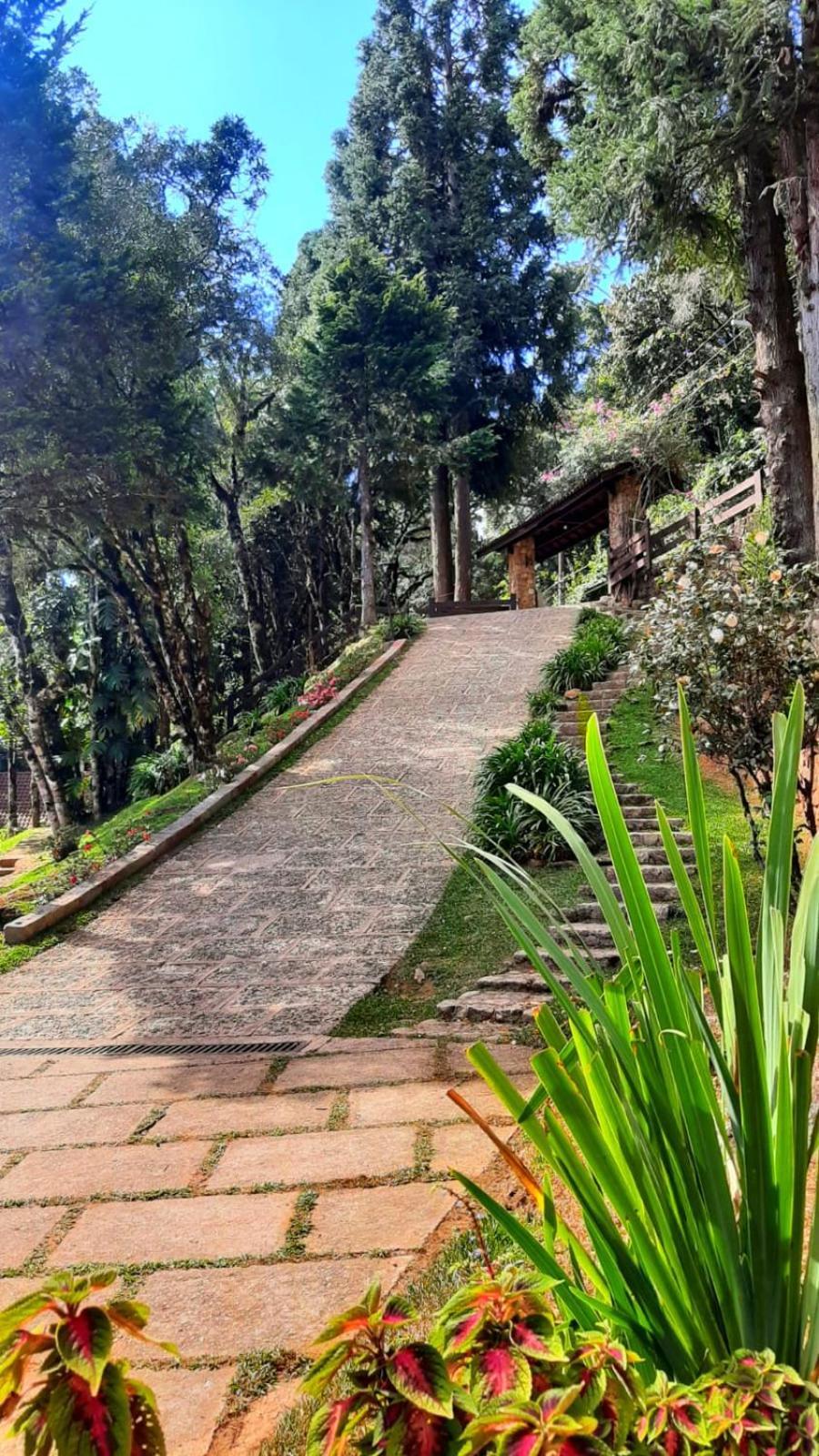 Refugio Do Selado Hotel Monte Verde  Ngoại thất bức ảnh