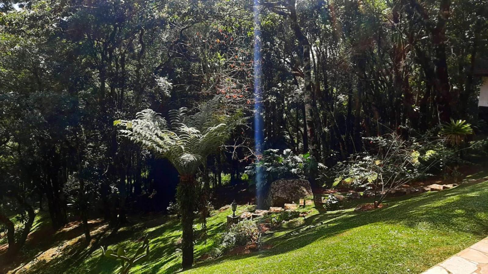 Refugio Do Selado Hotel Monte Verde  Ngoại thất bức ảnh